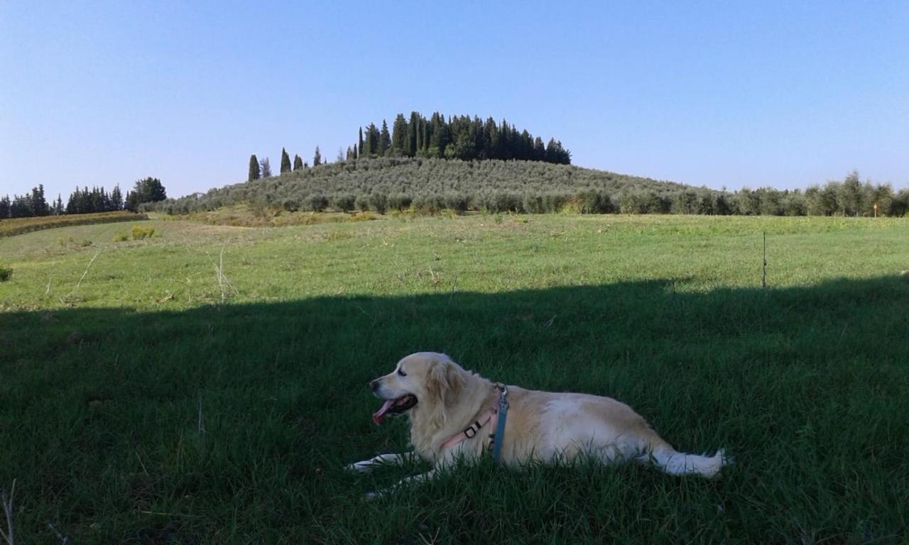 Dolce Cuore Luxe Apartment Chianti Florence Male Romantyczne Mieszkanie San Donato in Poggio Eksteriør bilde